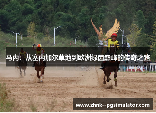 马内：从塞内加尔草地到欧洲绿茵巅峰的传奇之路